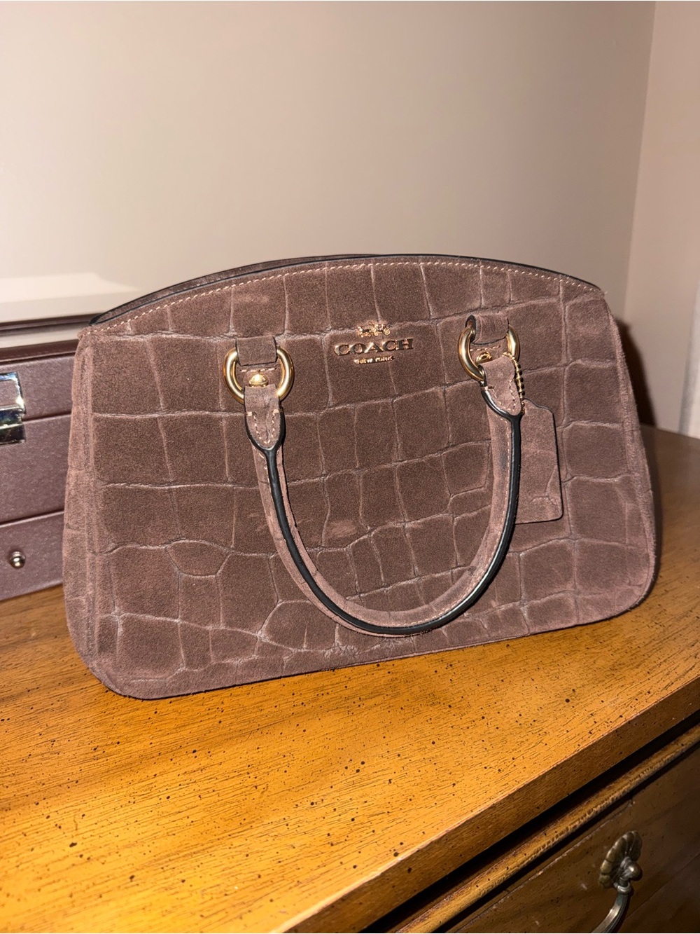 Coach Savannah Small Carryall in Gold/Maple